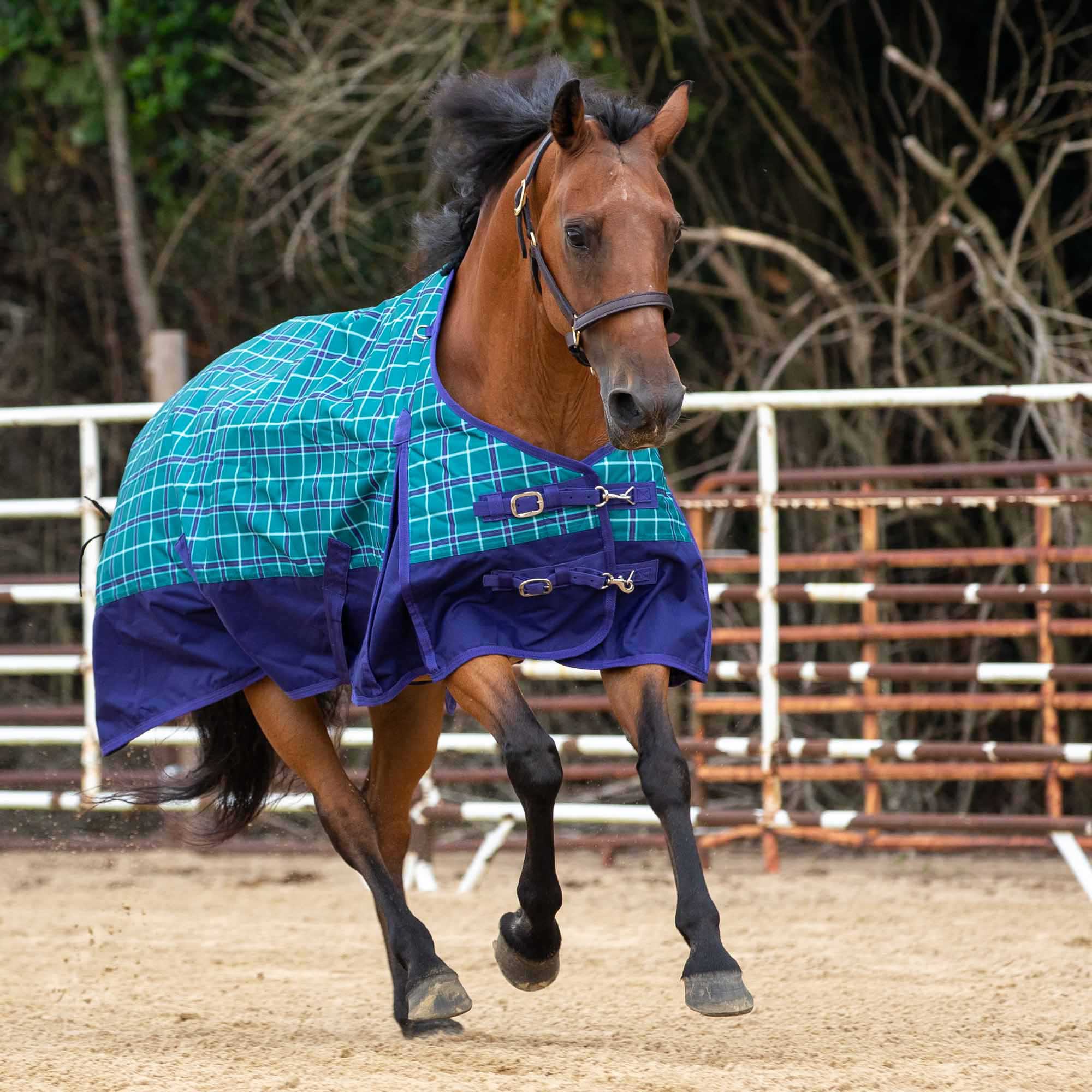 Economy Plaid Medium-Weight Horse Turnout Blanket - Healthber