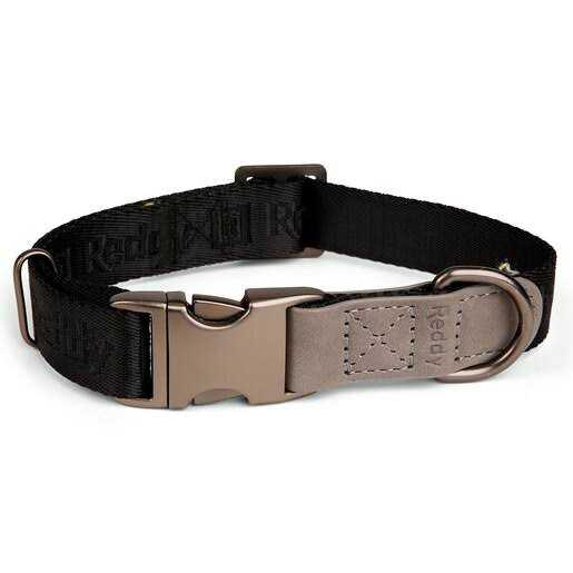 Reddy Dog Collar Jacquard - Healthber