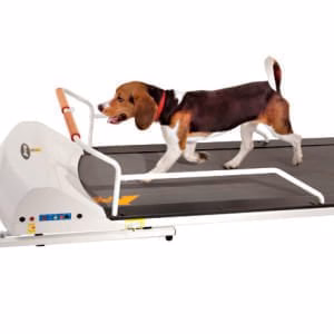 PetRun Small Medium Breed Treadmill (PR720F) - Healthber