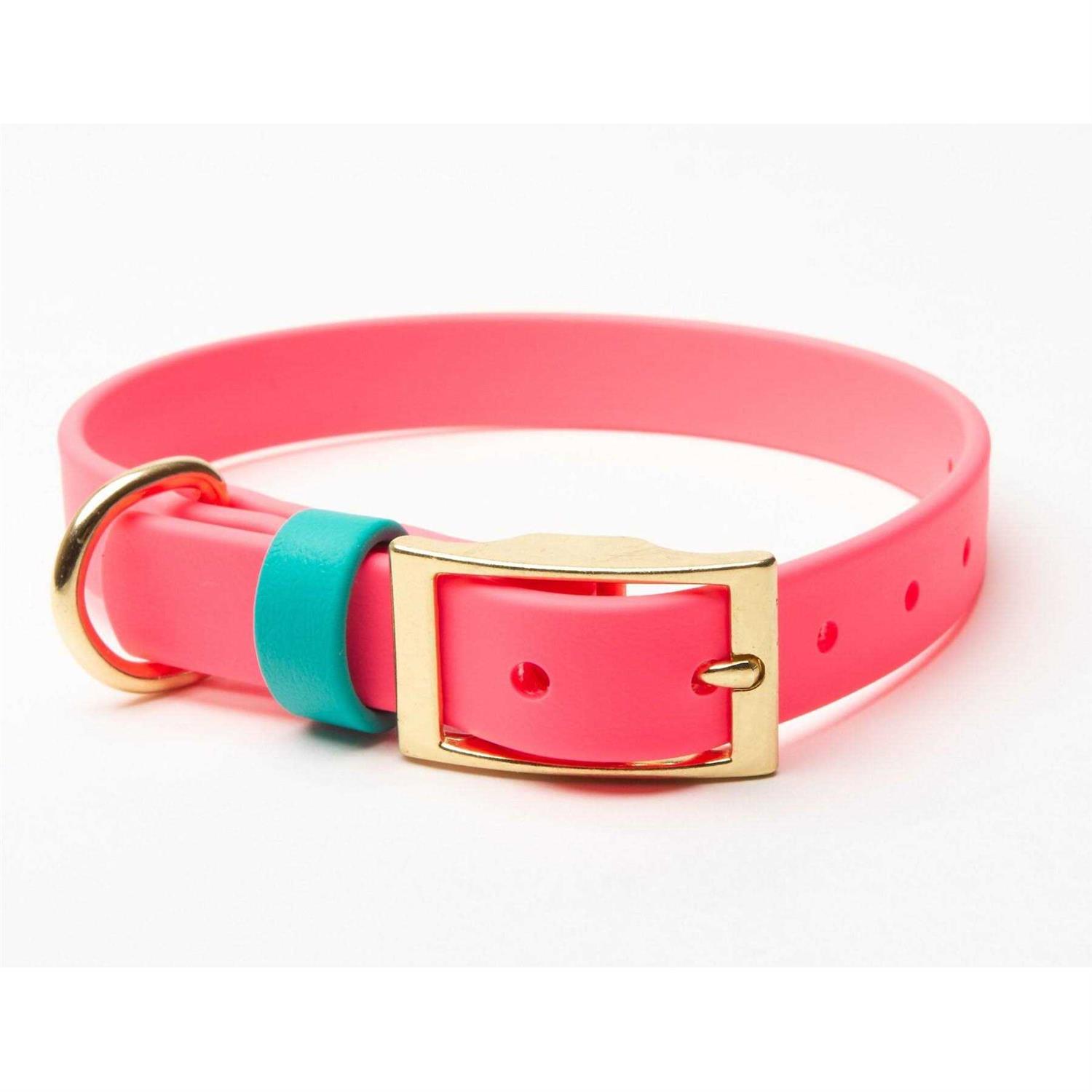 Pawfurever’s Waterproof & Odorless Dog Collar - Healthber