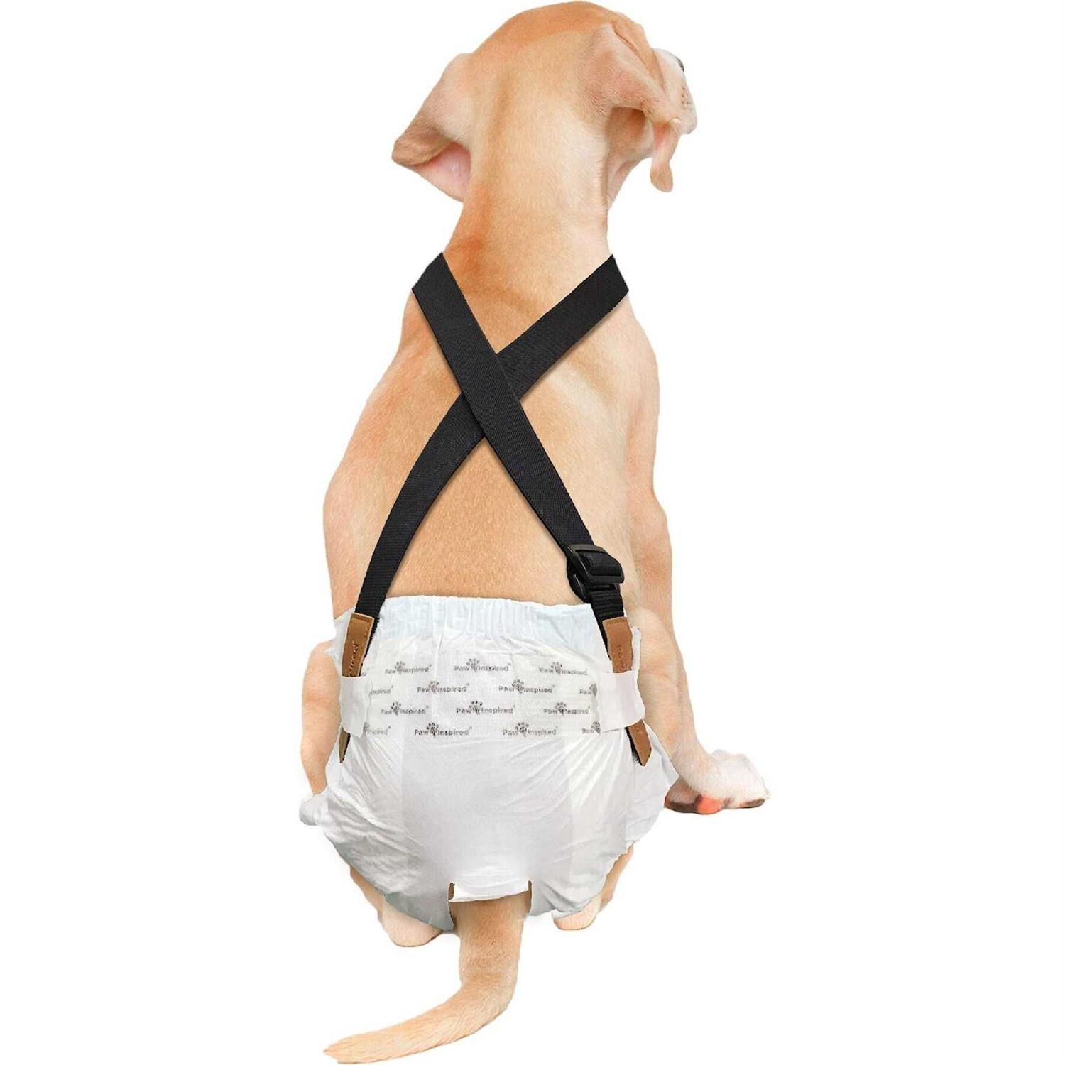 Paw Inspired Dog Diaper Suspenders - Healthber