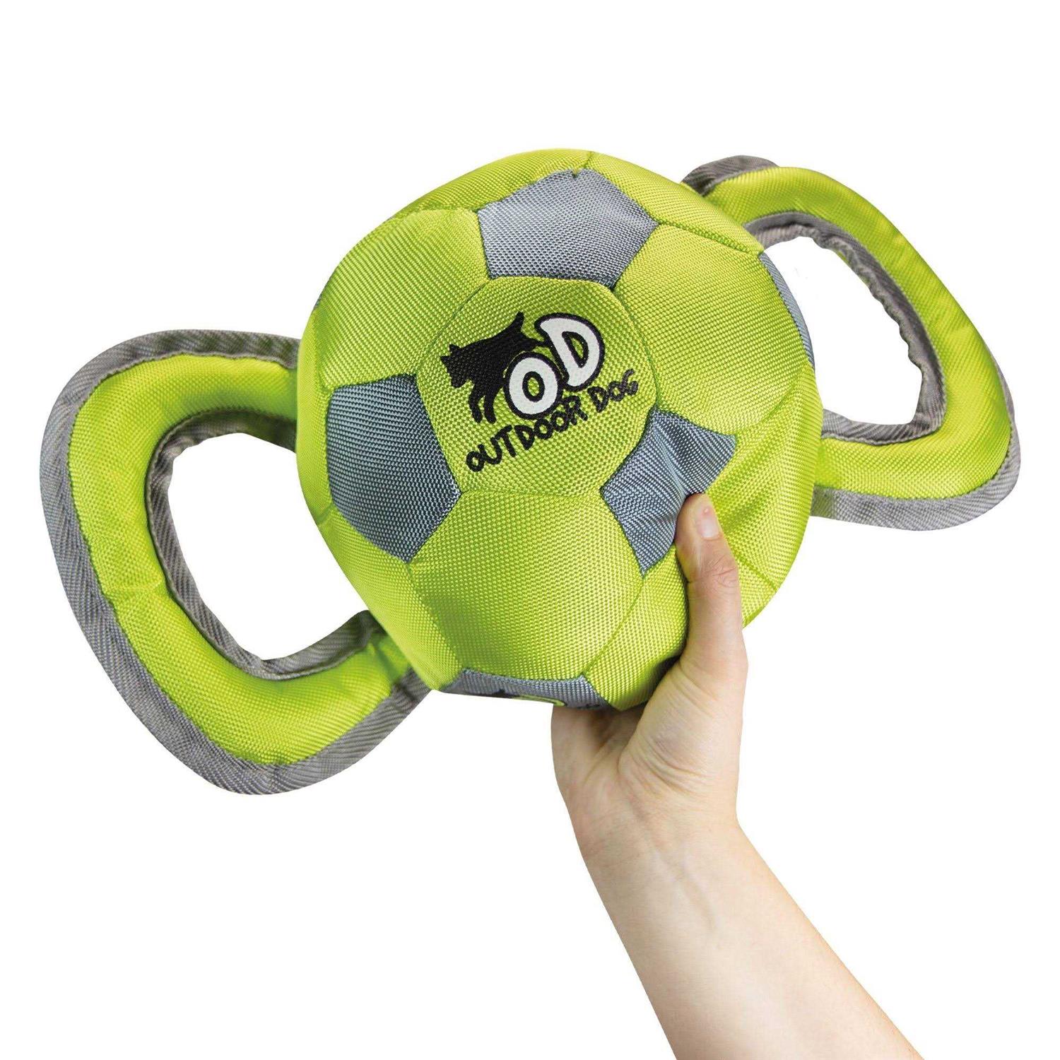 All for Paws Ballistic Handle Ball - Healthber