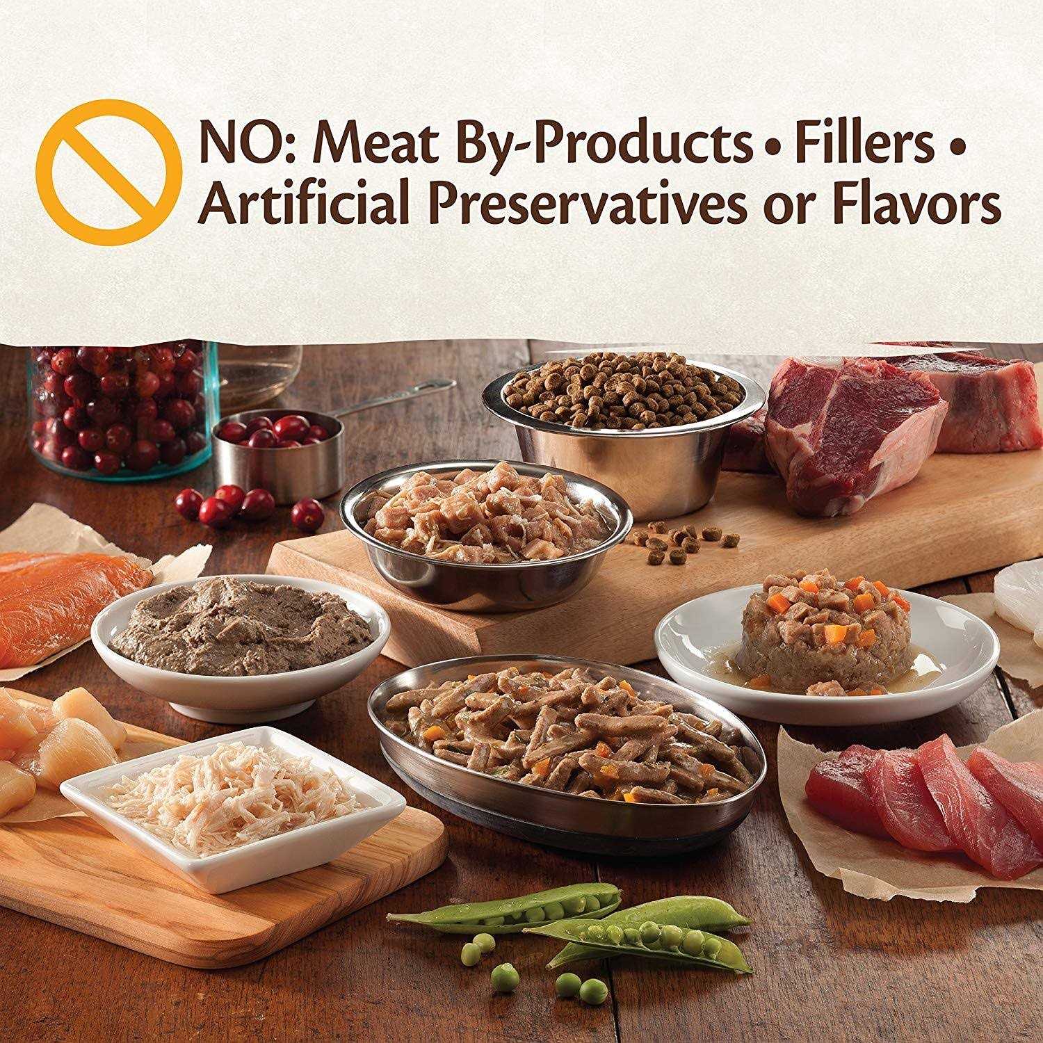 Wellness CORE Natural Grain Free Indoor Chicken & Chicken Liver Smooth Pate Wet Canned Cat Food - Healthber