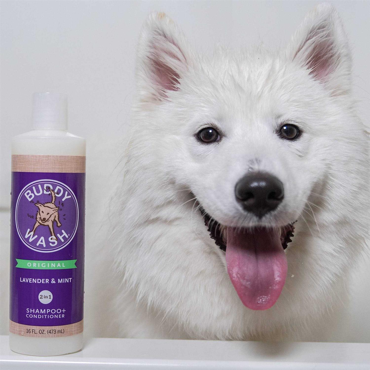Cloud Star Buddy Wash Lavender & Mint Dog Shampoo & Conditioner - Healthber