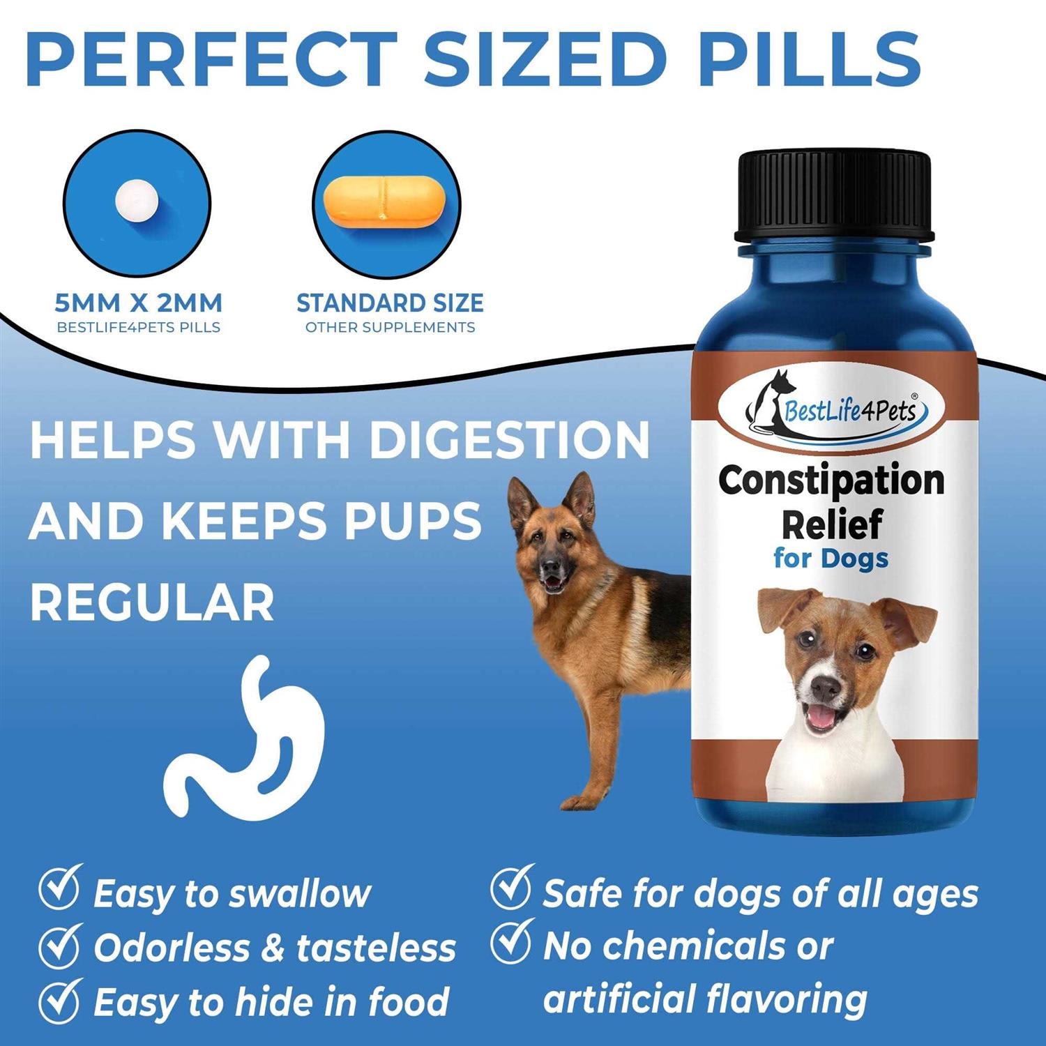 Natural Dog Laxative & Constipation Treatment // Bestlife4pets - Healthber
