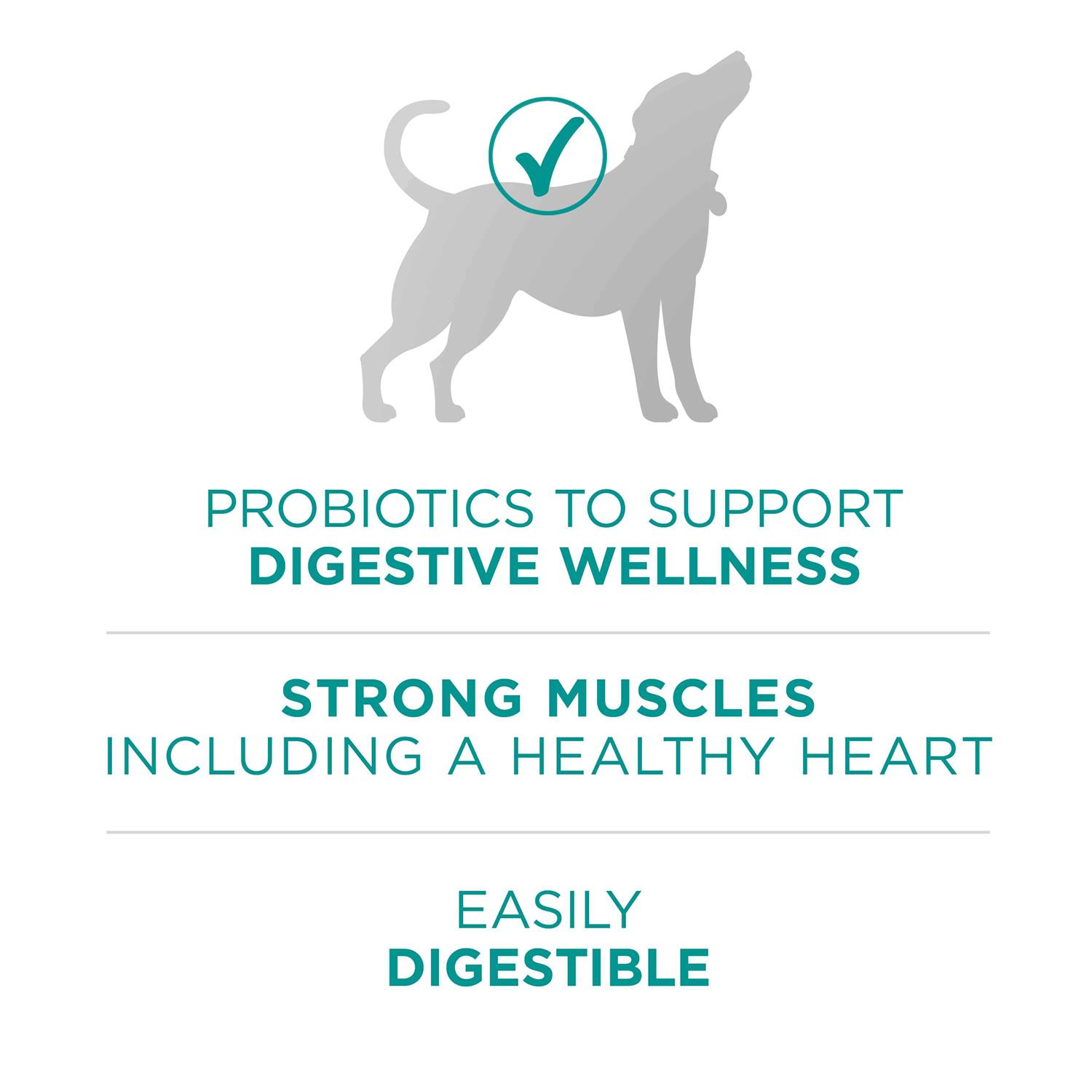 Purina ONE Digestive Health Dry Dog Food - Healthber