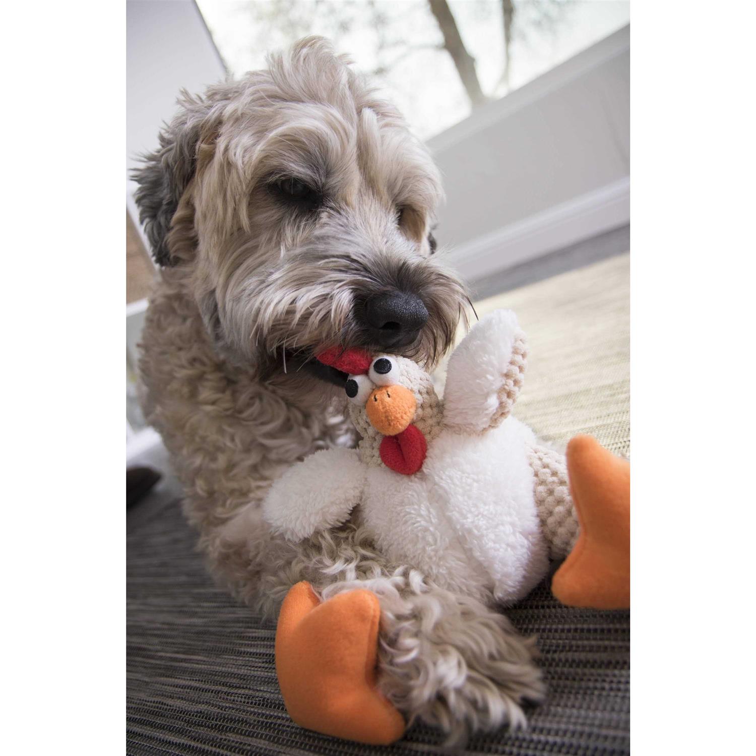 goDog Checkers Fat Rooster Dog Toy - Healthber