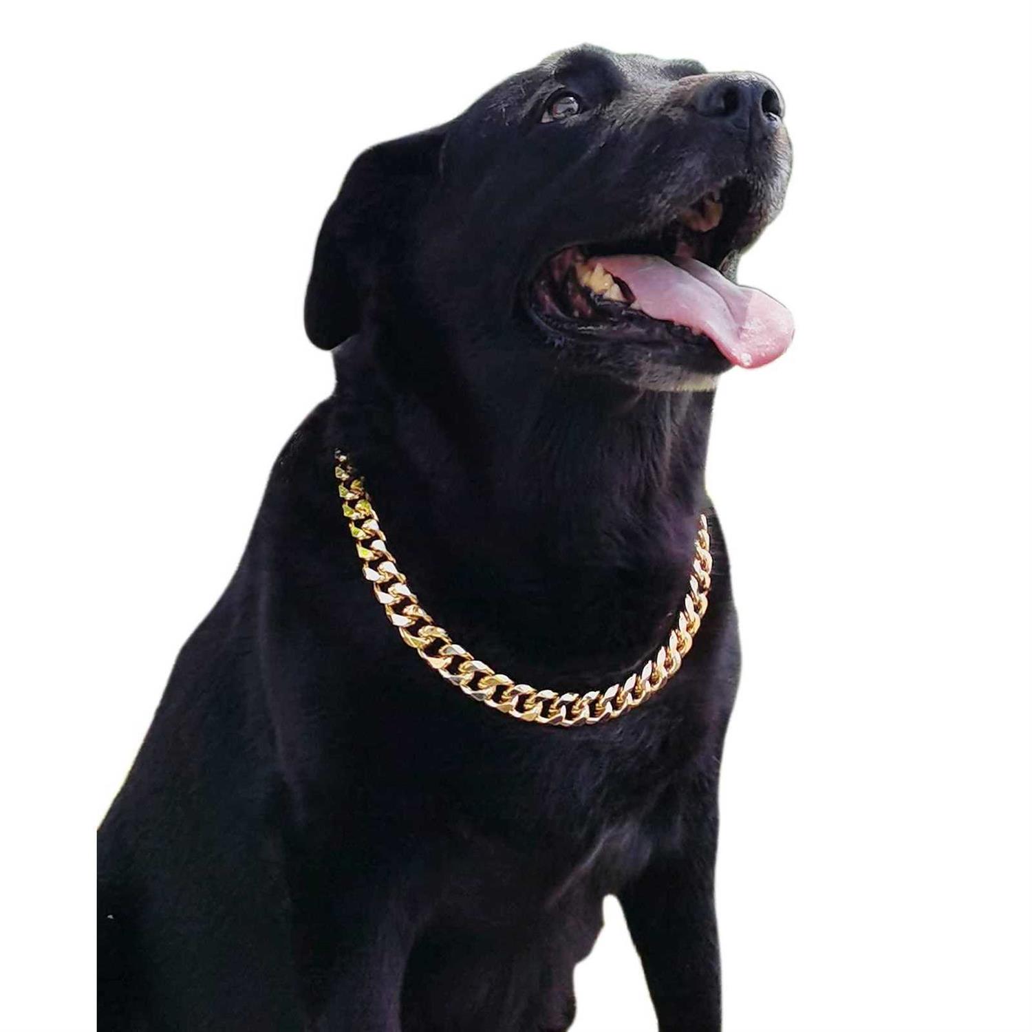 PP cOLOR gold chain Dog collar-34 Width cuban Link Dog Necklace - Healthber