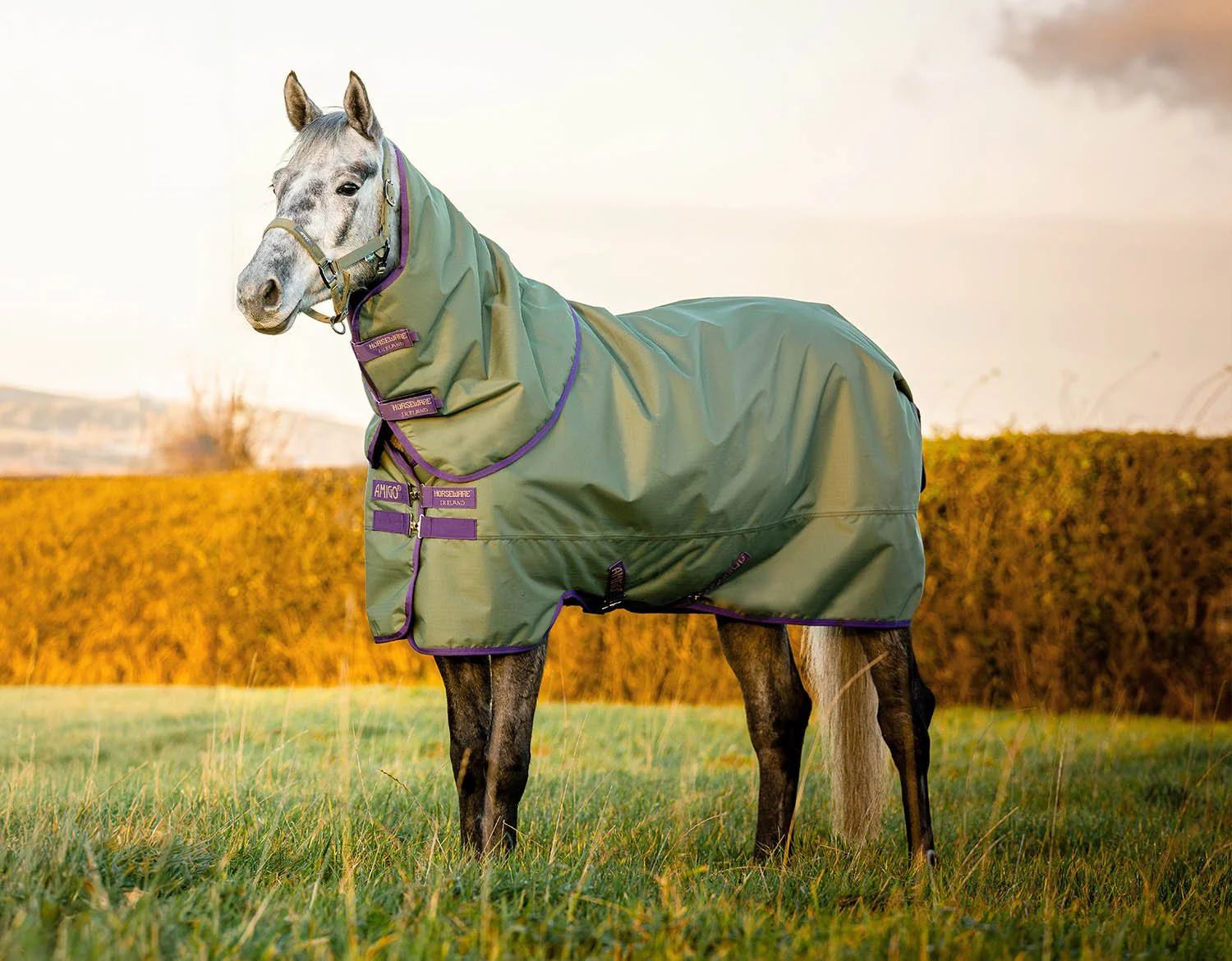 AMIGO Hero Ripstop Plus Medium Weight Turnout Blanket - Healthber