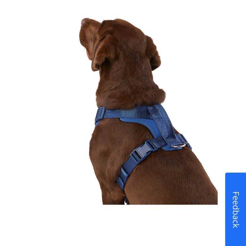 Top Paw Neoprene Comfort Dog Harness - Healthber