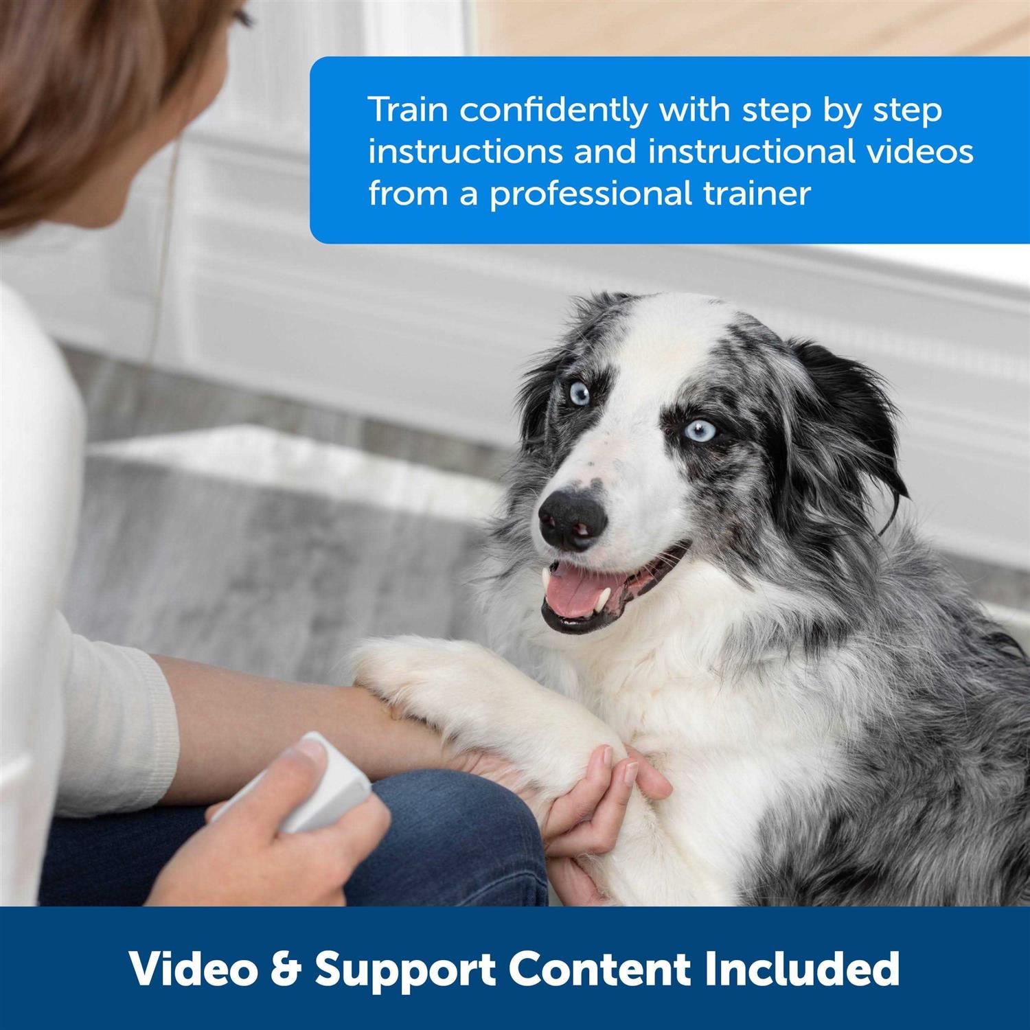 PetSafe Teach & Treat Remote Reward Trainer - Healthber