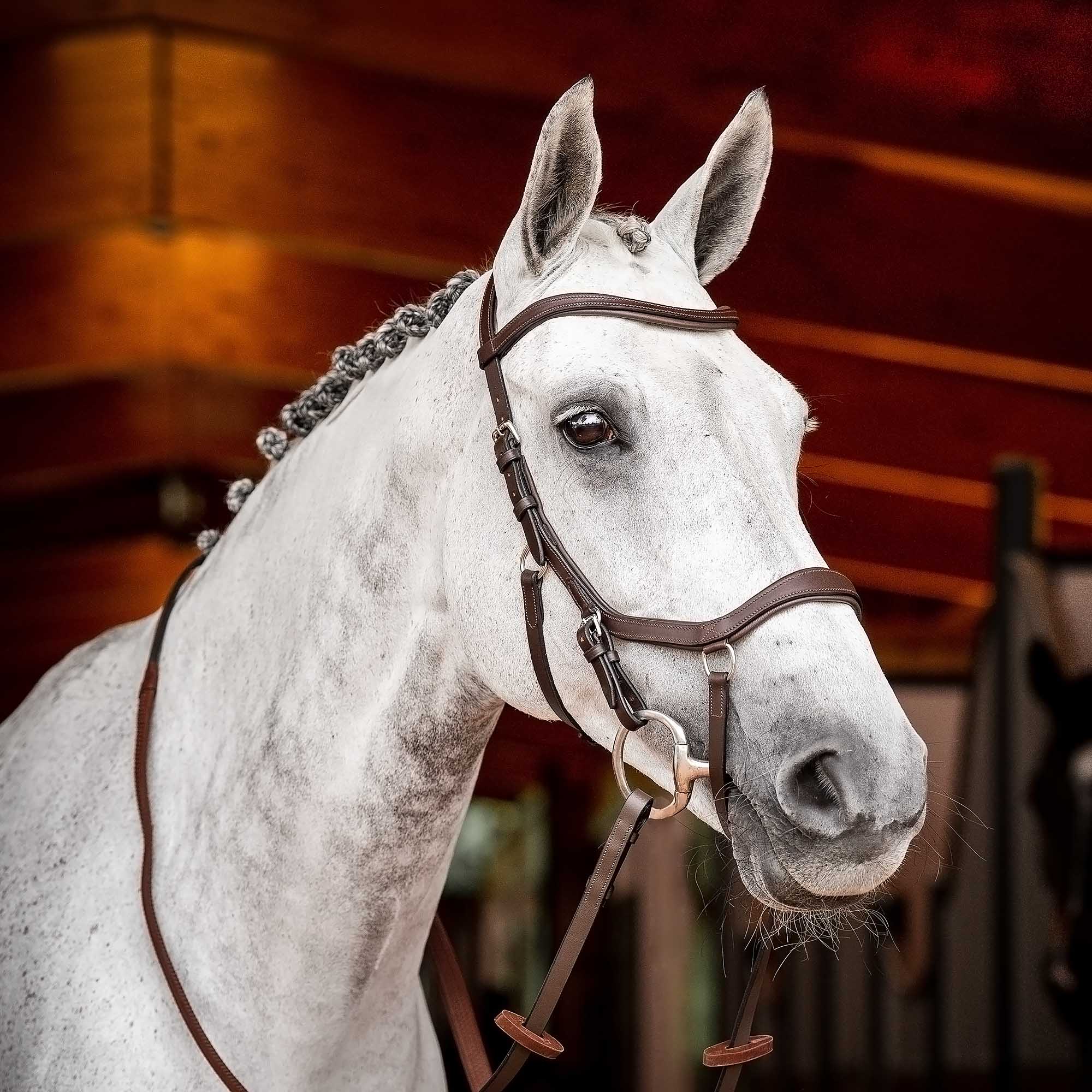Rambo 2.0 Micklem Competition Bridle, Havana - Healthber