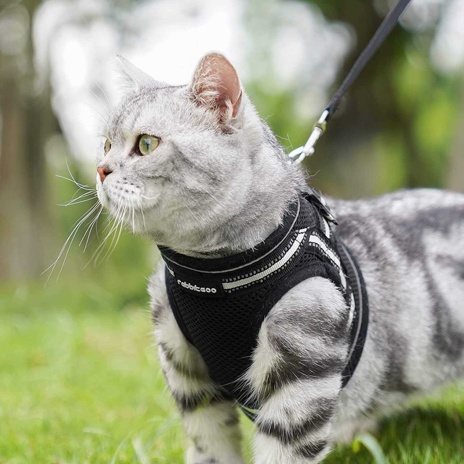Rabbitgoo Cat Harness and Leash for Walking Escape Proof Soft Adjustable Vest Harnesses for Cats - Healthber