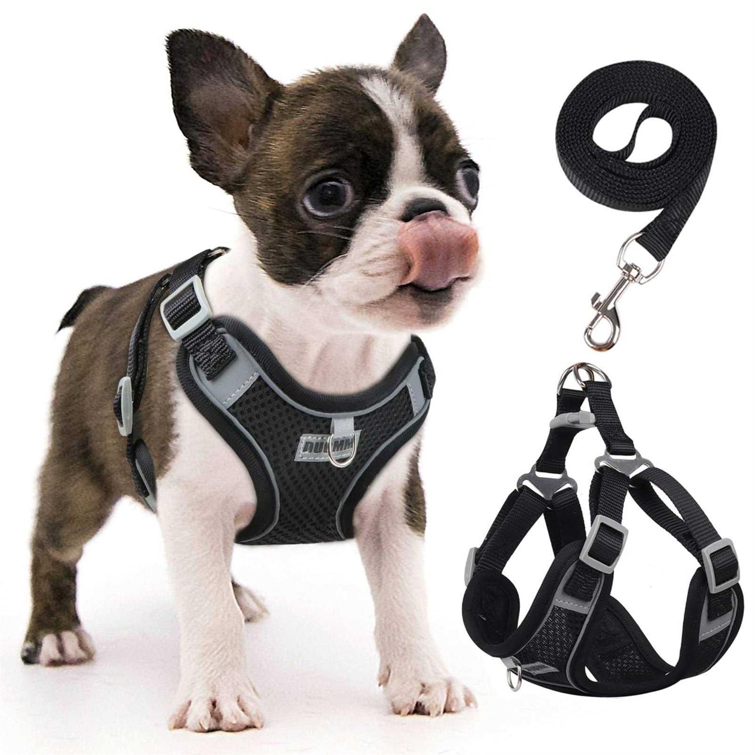 rennaio Dog Harness No Pull, Adjustable Puppy Harness with 2 Leash Clips, Ultra Padded Dog Vest Harness, Reflective Dog Harness and Leash - Healthber