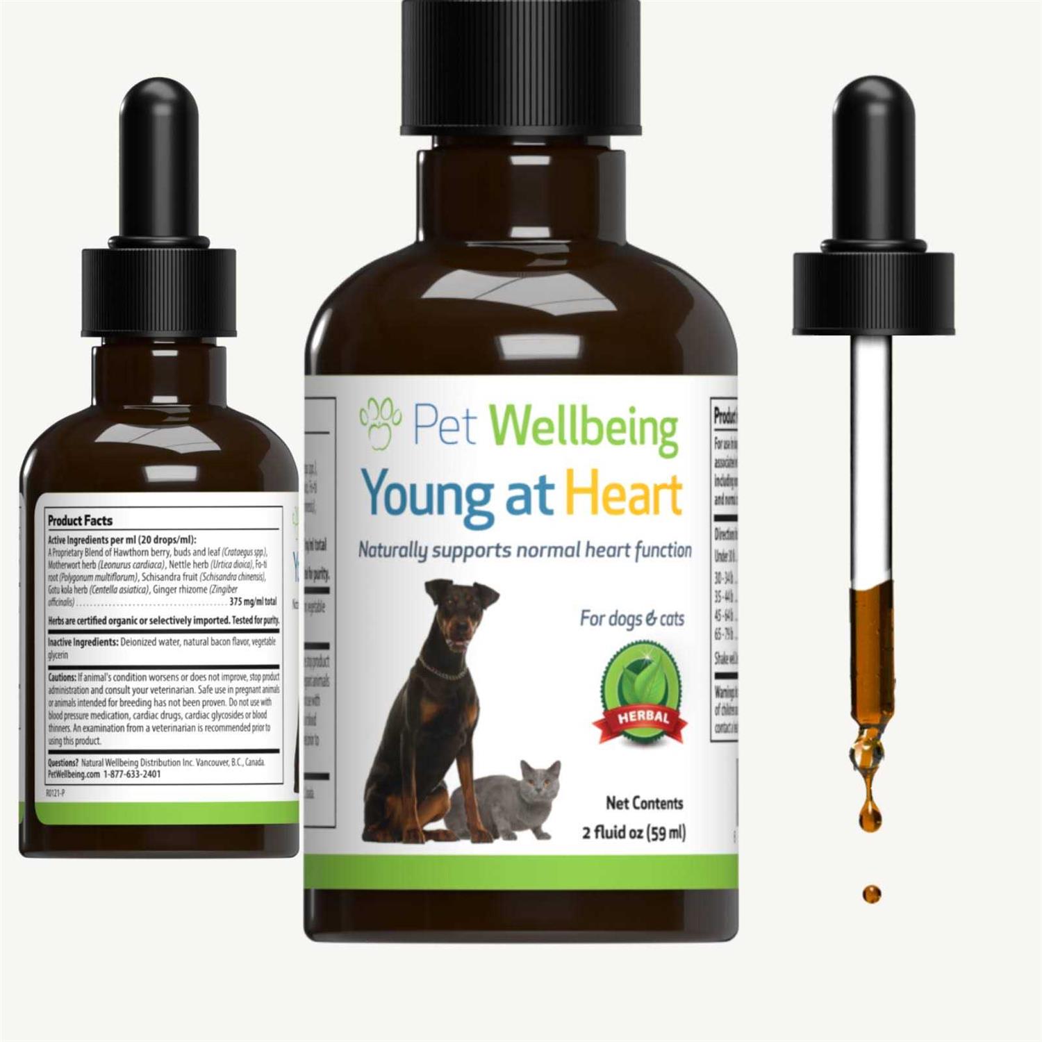 Pet Wellbeing Young at Heart for Cats - Healthber