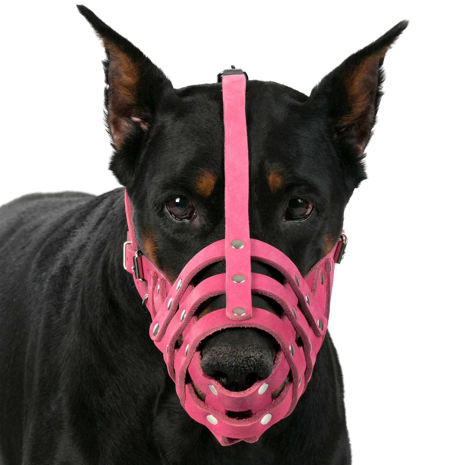 CollarDirect Dog Muzzle German Shepherd Dalmatian Doberman Setter Leather Basket Medium Large Breeds - Healthber