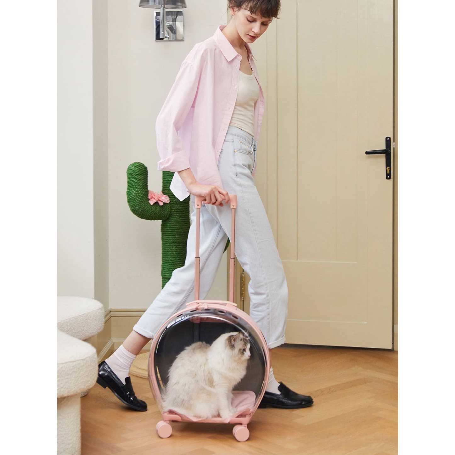 Vetreska Bubble Pet Carrier Pink Color Block - Healthber
