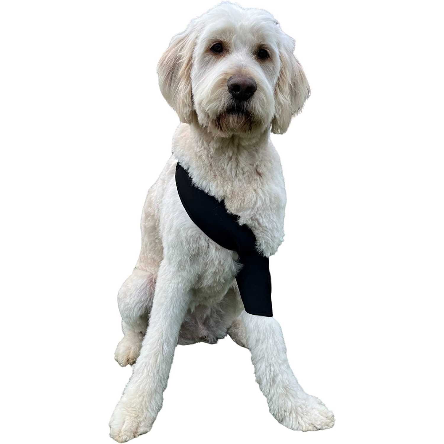 Labra Canine Shoulder Elbow Brace Leg Dog Wrap - Healthber