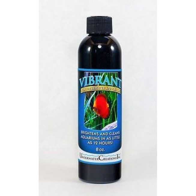 Vibrant For Saltwater Aquariums - Healthber