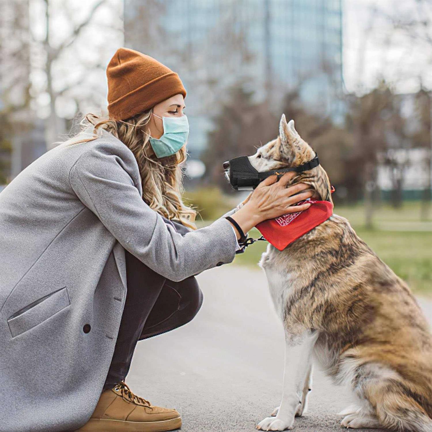 HEELE Dog Muzzle,Soft Nylon Muzzle Anti Biting Barking Chewing,Air Mesh Breathable Drinkable Adjustable Loop Pets Muzzle for Small Medium Large Dogs - Healthber