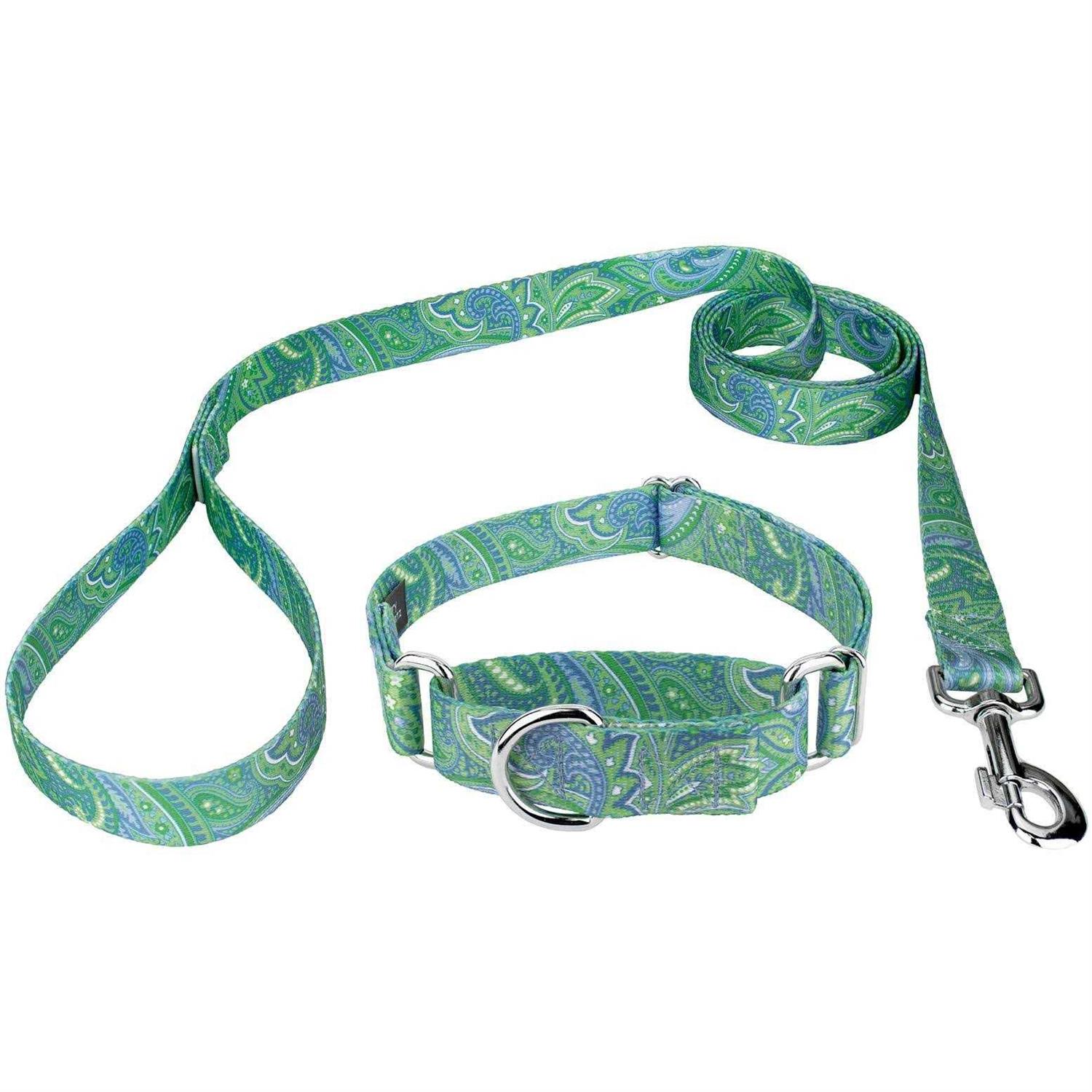 Country Brook Petz Dog Martingale Collar - Healthber