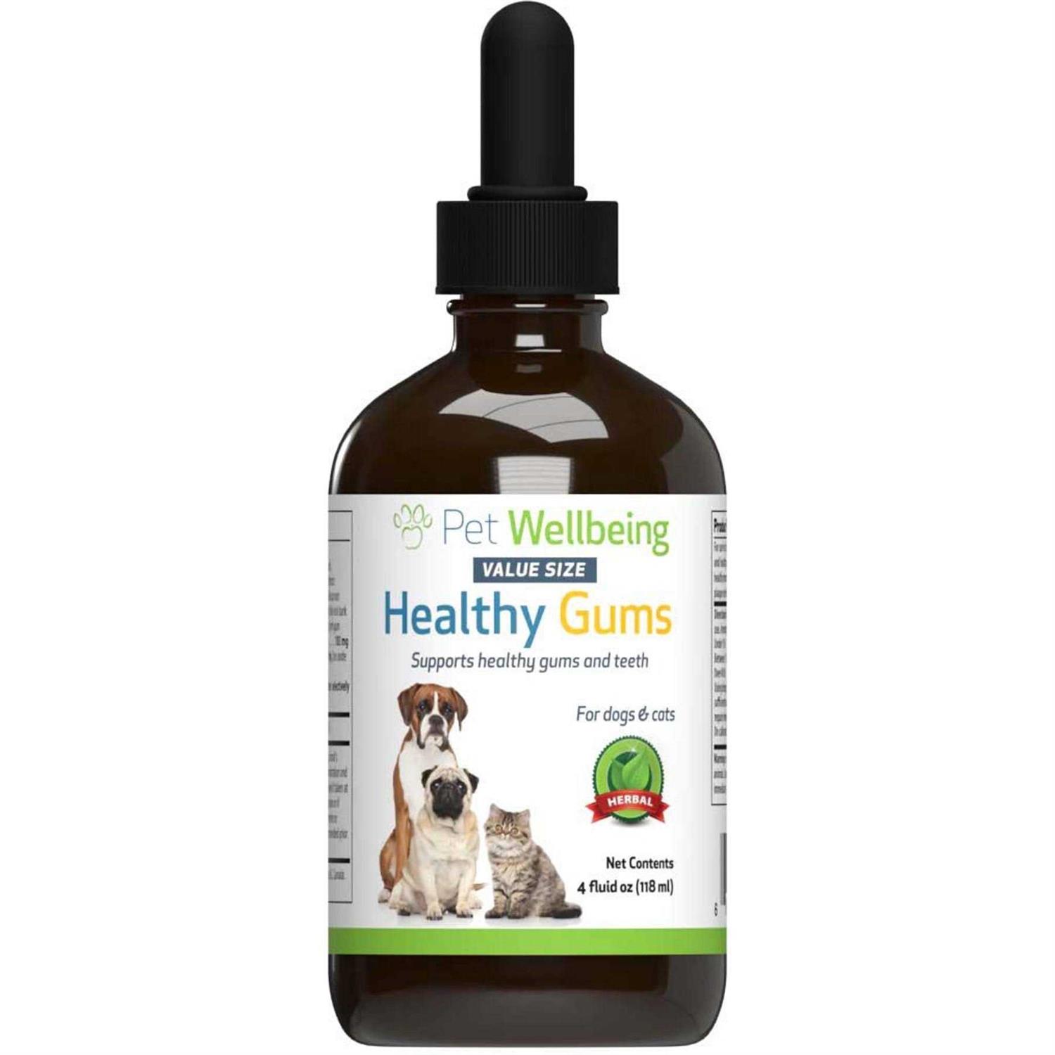 Pet Wellbeing Healthy Gums for Feline Periodontal Health - Healthber