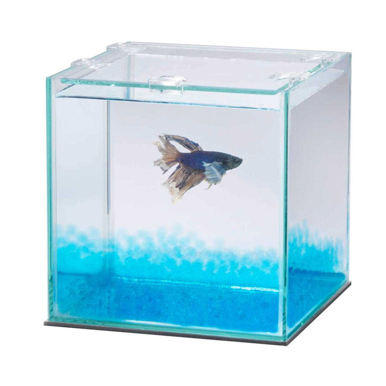Aqueon Pure Betta Beads - Healthber