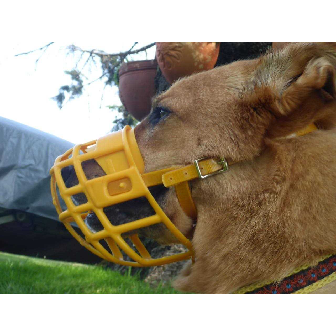 Birdwell Enterprises Plastic Dog Muzzle with Adjustable Plastic Coated Nylon Headstall - Healthber