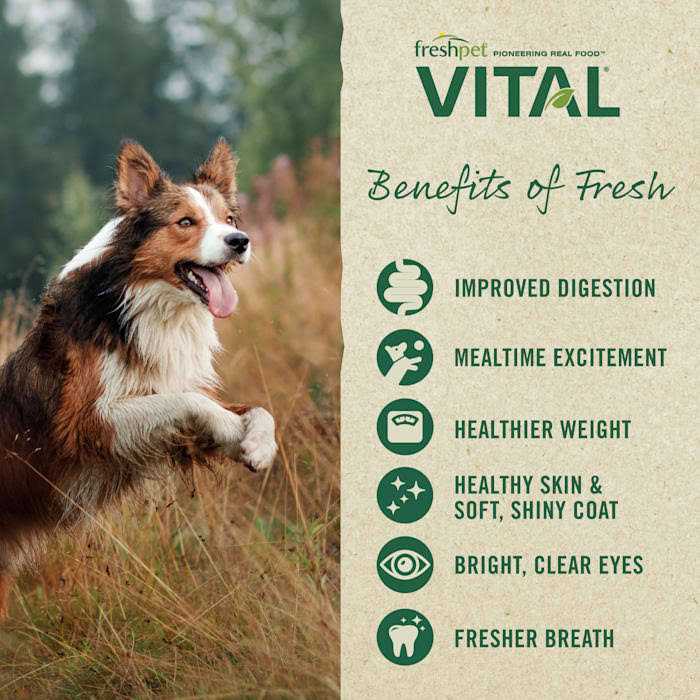 Freshpet Vital Fresh Cuts Dog Food Chicken - Healthber