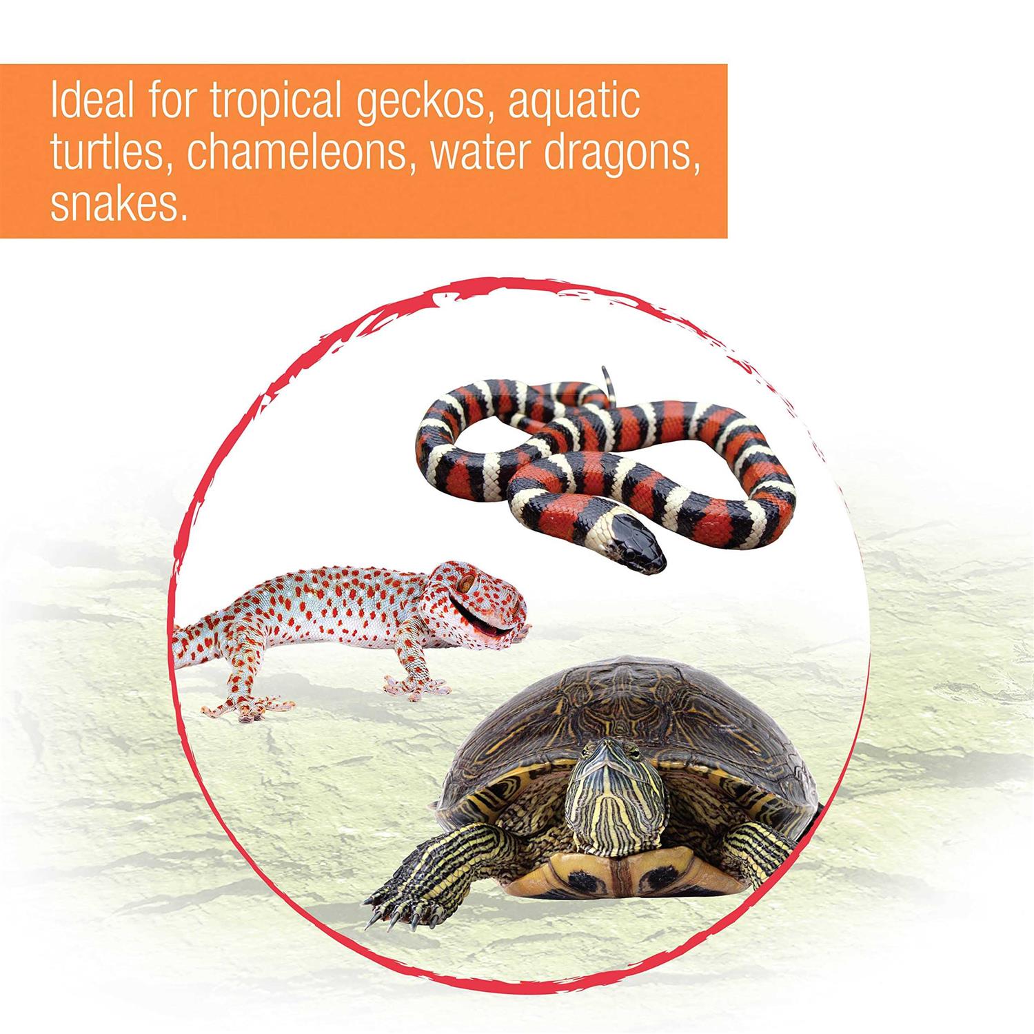Zilla Slimline Tropical Reptile Fixture - Healthber
