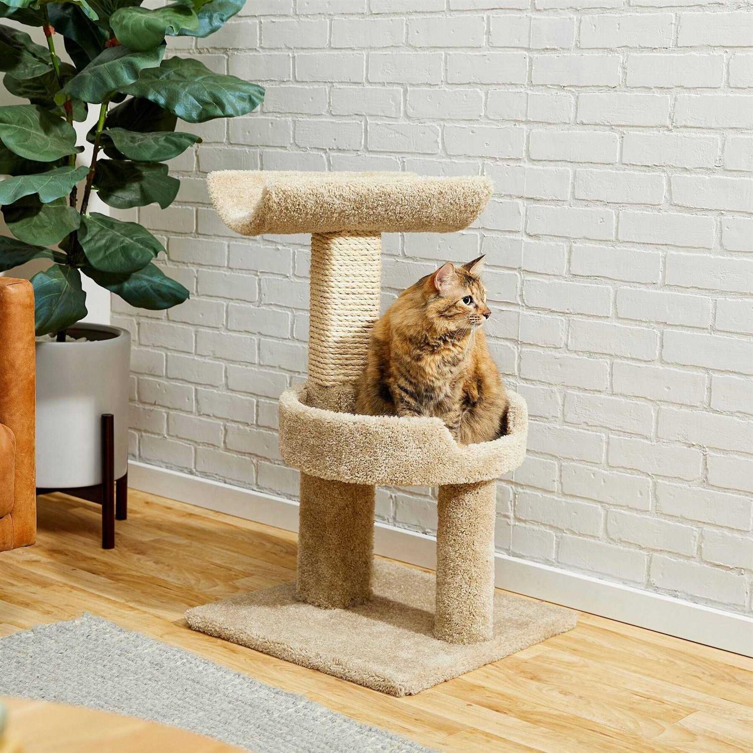 Frisco 32-in Real Carpet Wooden Cat Tree - Healthber