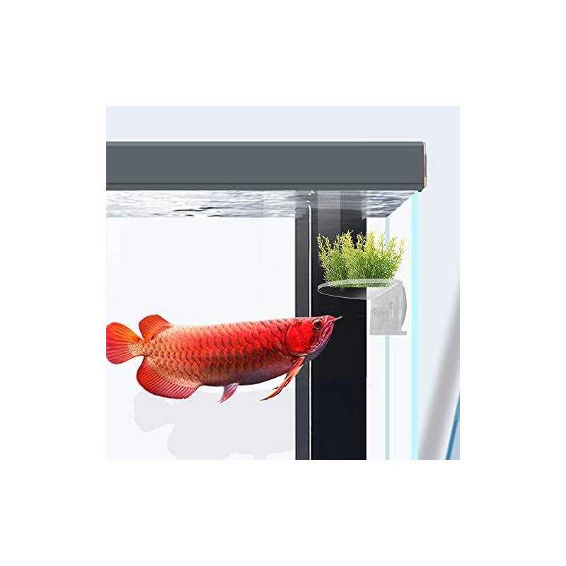 2Pack Aquarium Shelf,Transparent Acrylic Ledge Plants Holder for Substrate and Live Plants,with Strong Suction Cups for Fish Tank Multi-Layer - Healthber