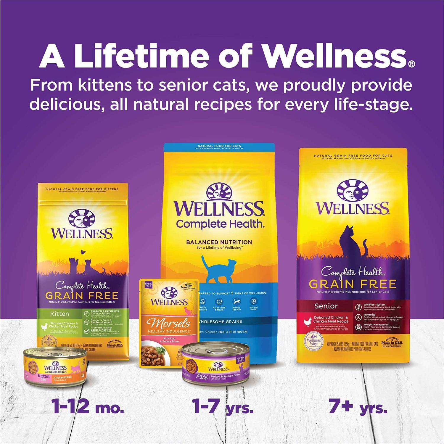 Wellness Complete Health Kitten Canned Wet Cat Food - Healthber