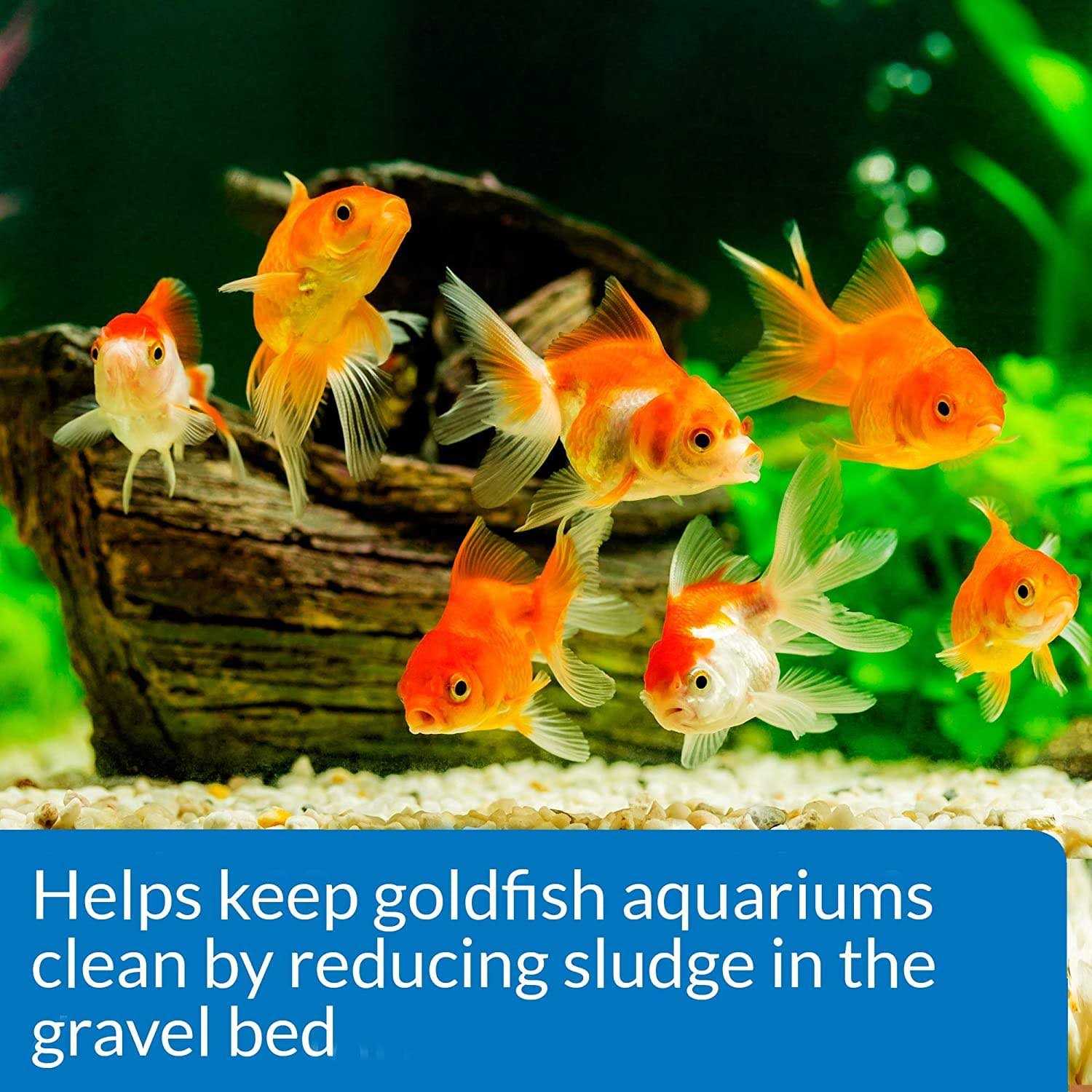 API Goldfish Aquarium Cleaner - Healthber