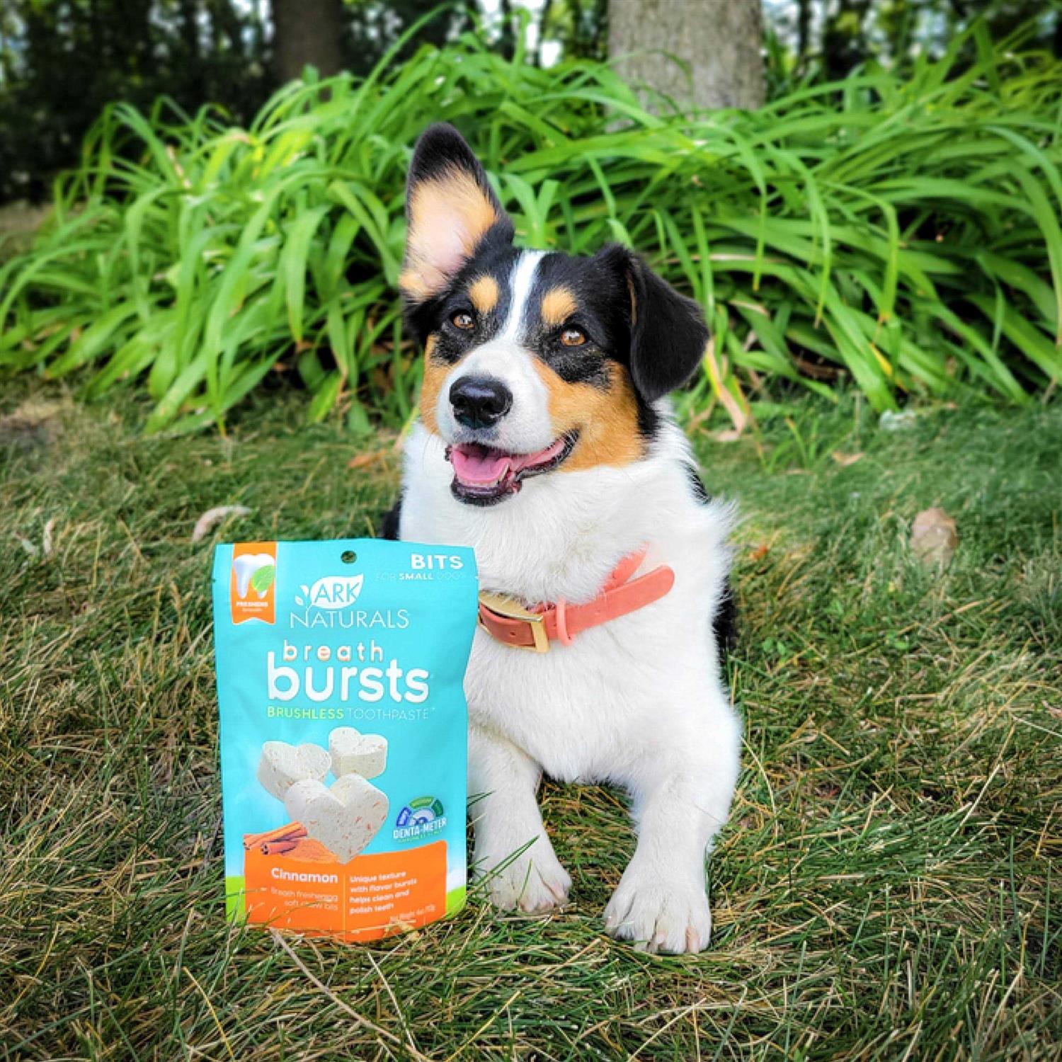Ark Naturals Breath Bursts Bits Dental Dog Treats - Healthber