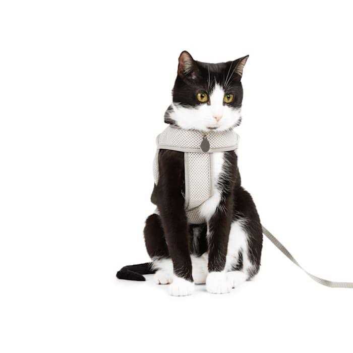Youly Mesh Safety Gray Cat Harness - Healthber
