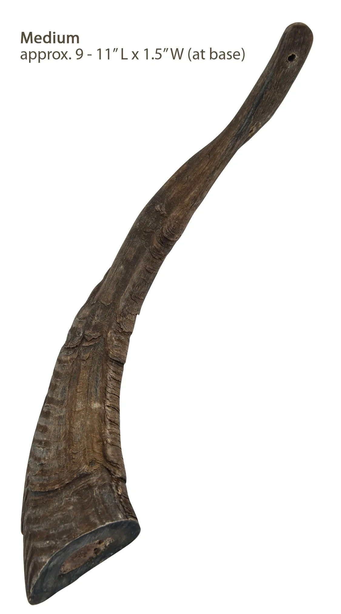 Gobi Goat Horn Natural Dog Chew - Healthber