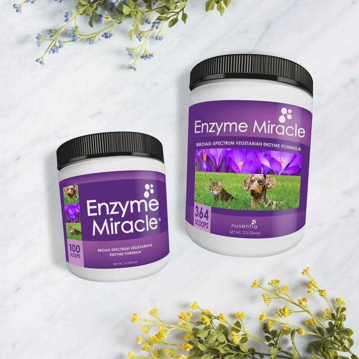 Enzyme Miracle Digestive - Healthber