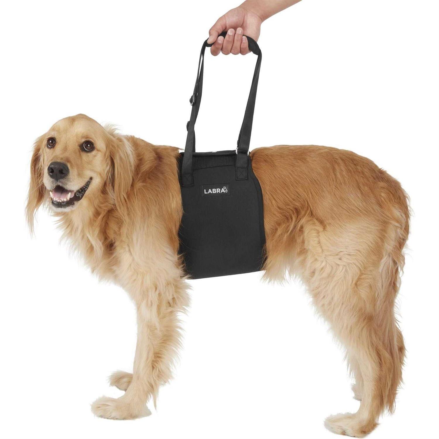 Labra Veterinarian Approved Dog Canine K9 Sling Lift Adjustable Straps Support Harness Helps with Loss of Stability Caused by Joint Injuries and - Healthber