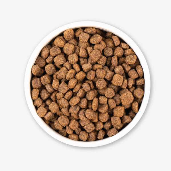 Earthborn Holistic Grain Free Dry Dog Food Meadow Feast - Healthber