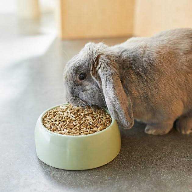 Mazuri Timothy Based Rabbit Food - Healthber