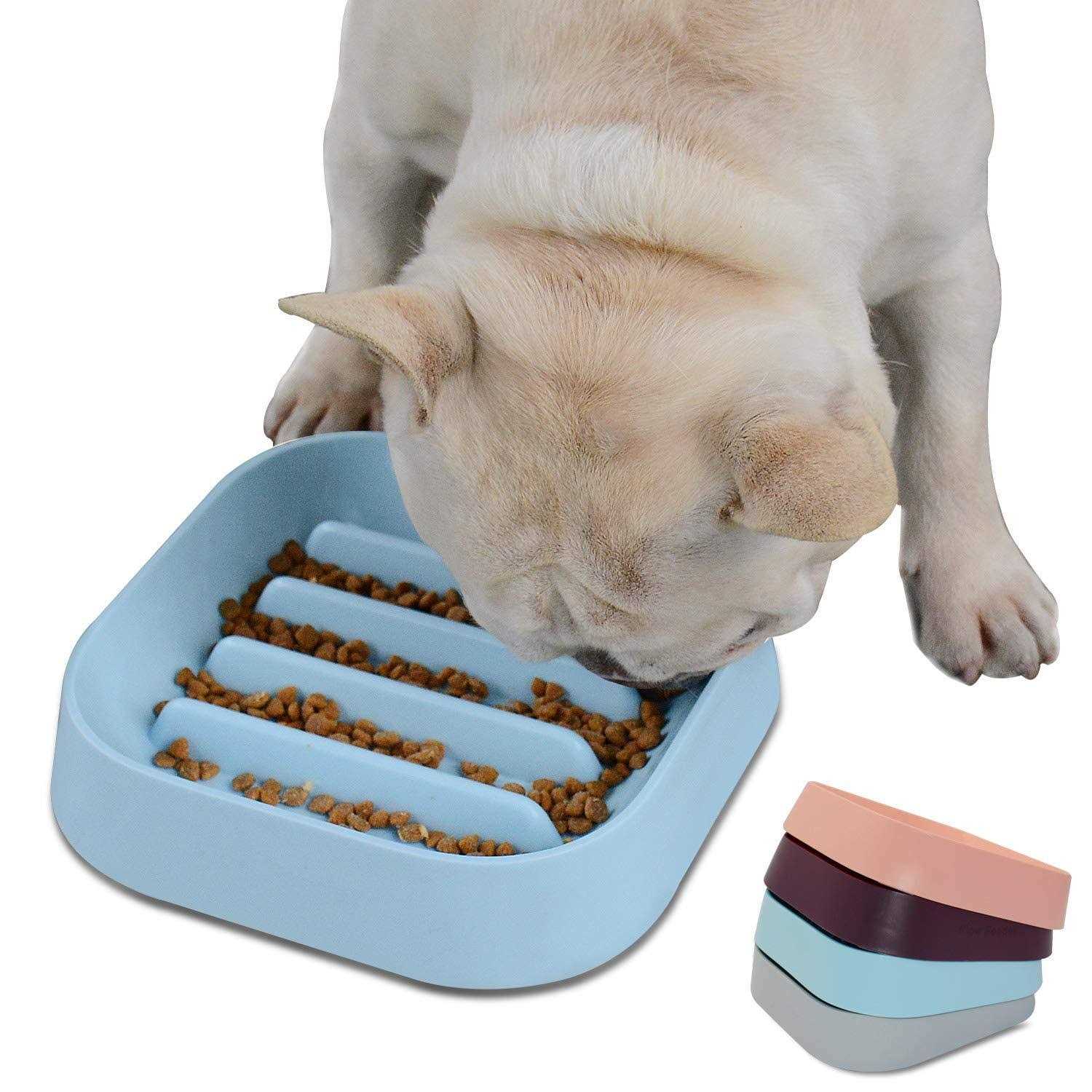 Hifrenchies Healthy Slow Feeding Dog Bowl for French Bulldog -Slow Feeder Dog Bowl No Chocking Dog Cat Food Bowl with Striped Shape Pattern - Healthber