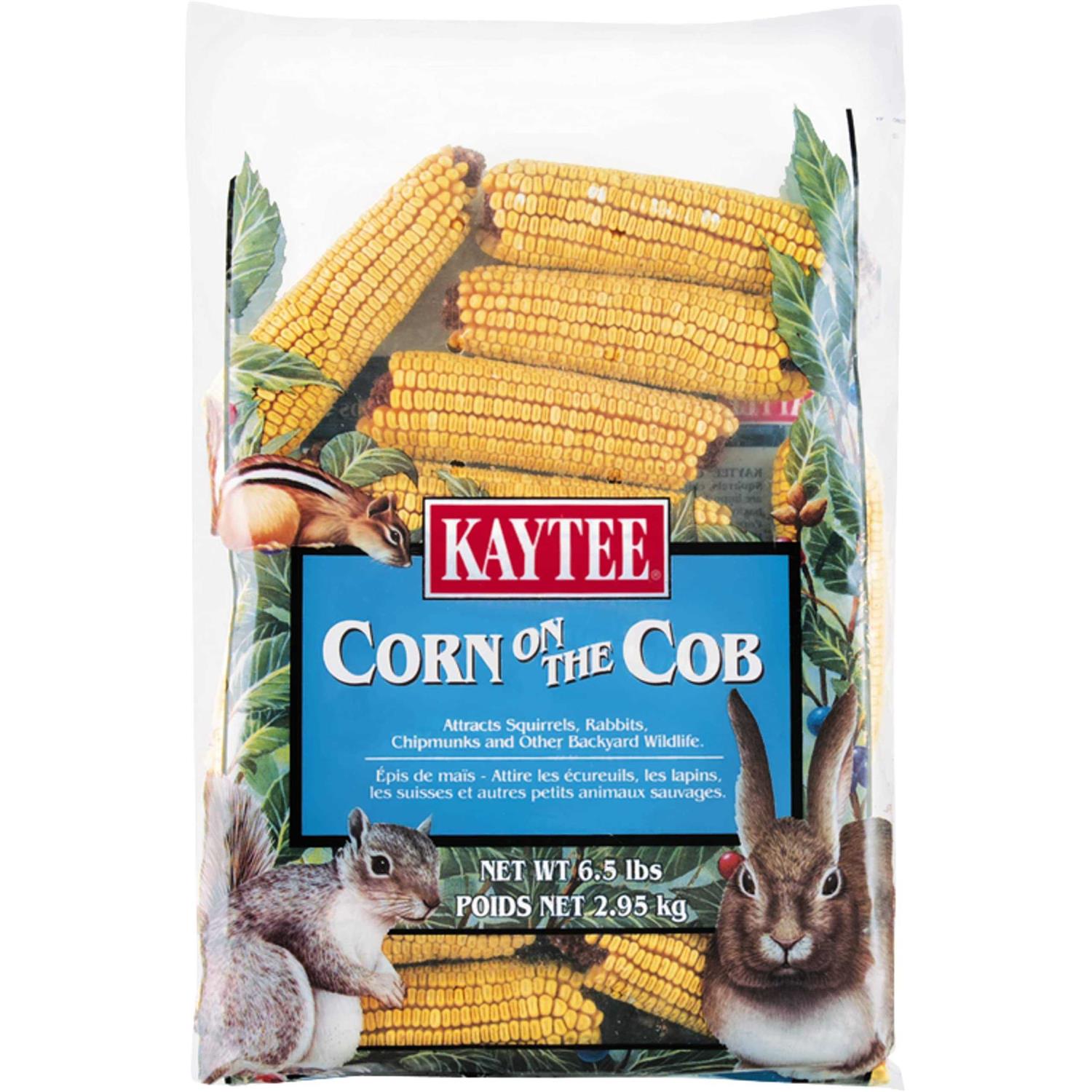 Kaytee Corn On the Cob - Healthber