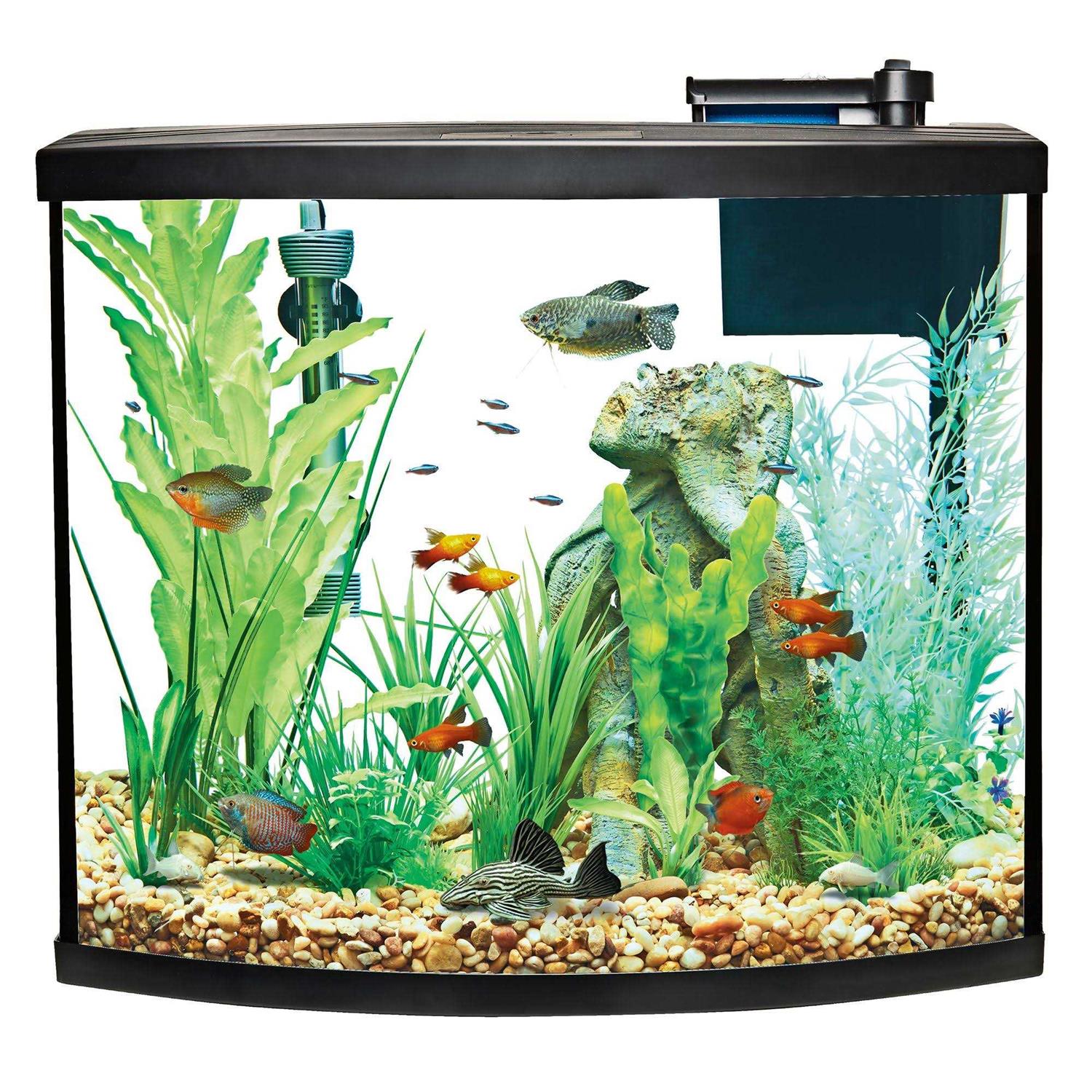 Top Fin Bow Front Aquarium Tank Starter Kit - Healthber