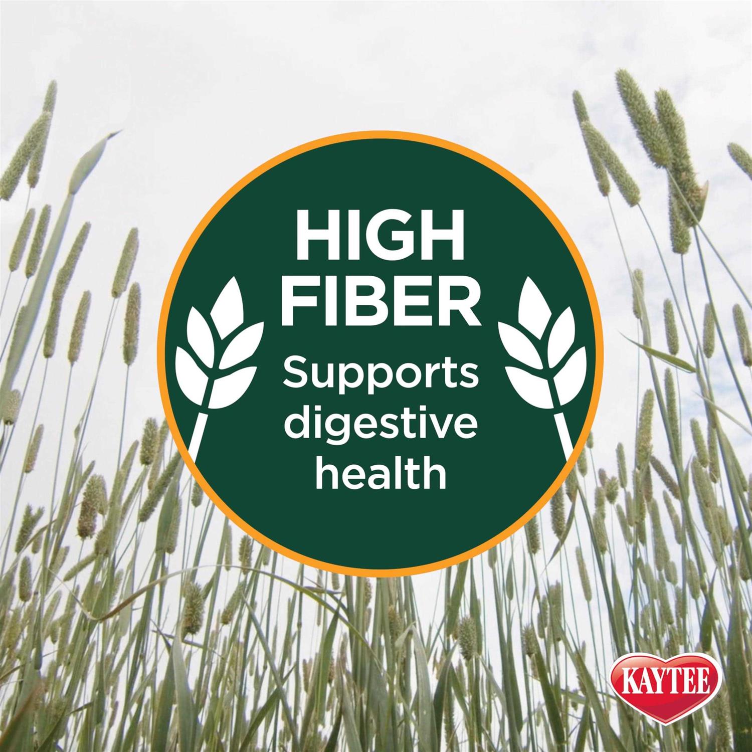 Kaytee Natural Timothy Hay - Healthber