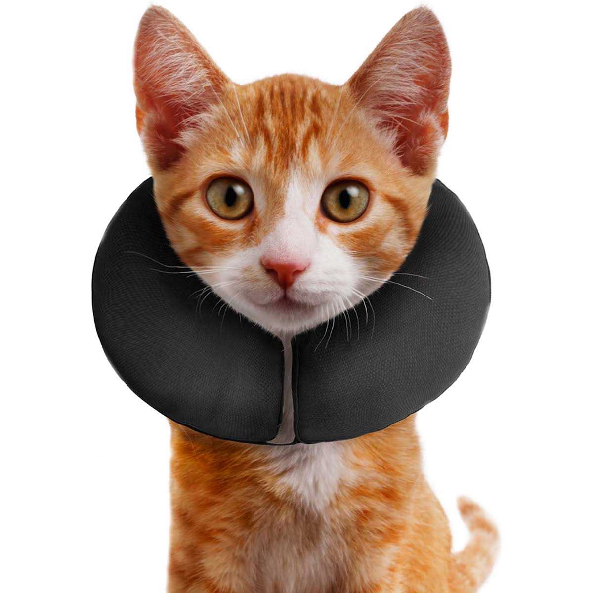 ZenPet Inflatable Recovery Collar - Healthber