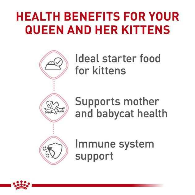 Royal Canin Feline Health Nutrition Mother & Babycat Ultra Soft Mousse in Sauce Canned Cat Food - Healthber
