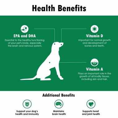Omega-Caps Softgel Capsules for Cats & Small Dogs - Healthber