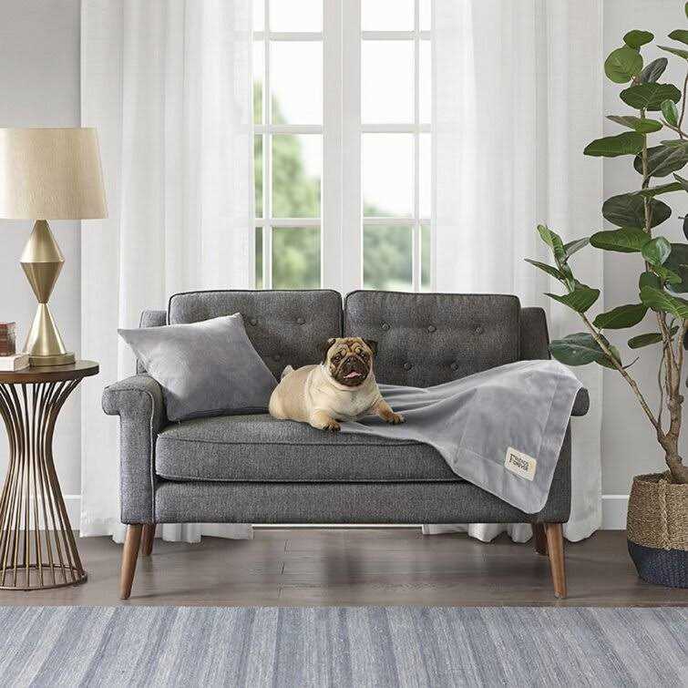 Friends Forever Durable Dog Blanket for Couch Protection - Healthber