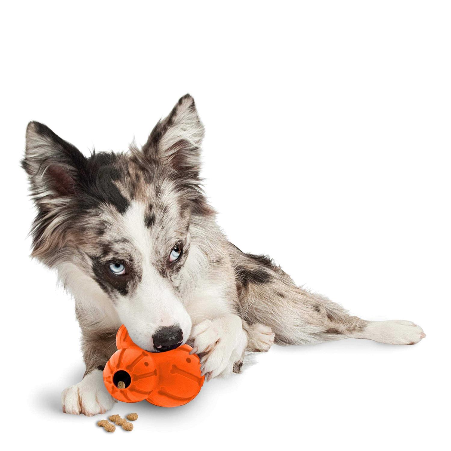 PetSafe Sportsmen Barnacle - Healthber